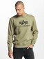 olive_51124