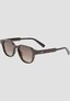 brown_200251