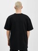 Plain-1