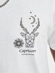 Astro Capricornus-3