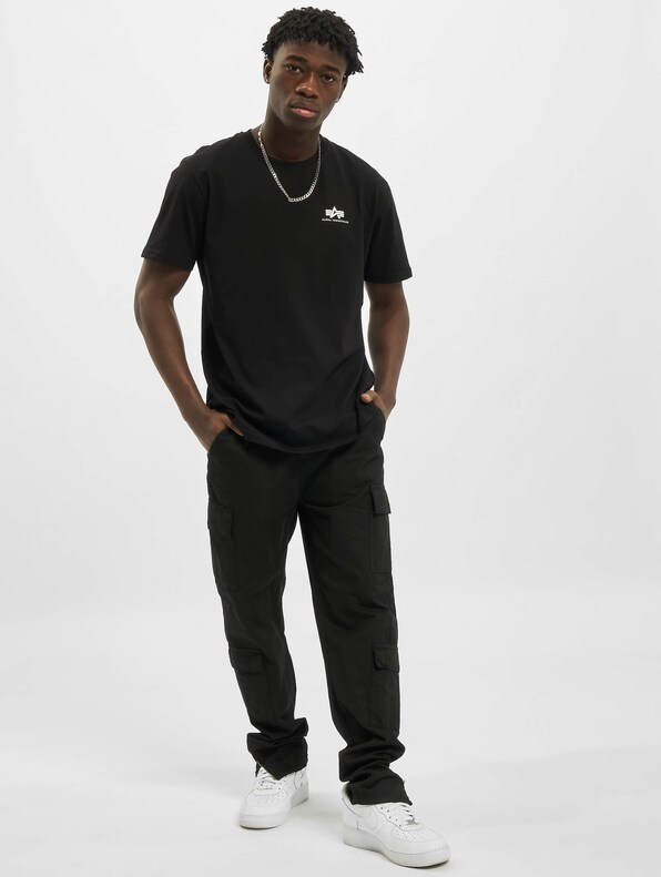 Alpha Industries Backprint T-Shirts-5