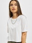 white_9716