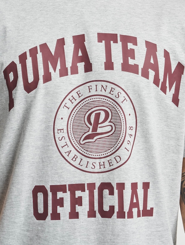 Puma Team Graphic T-Shirt Light Gray-4