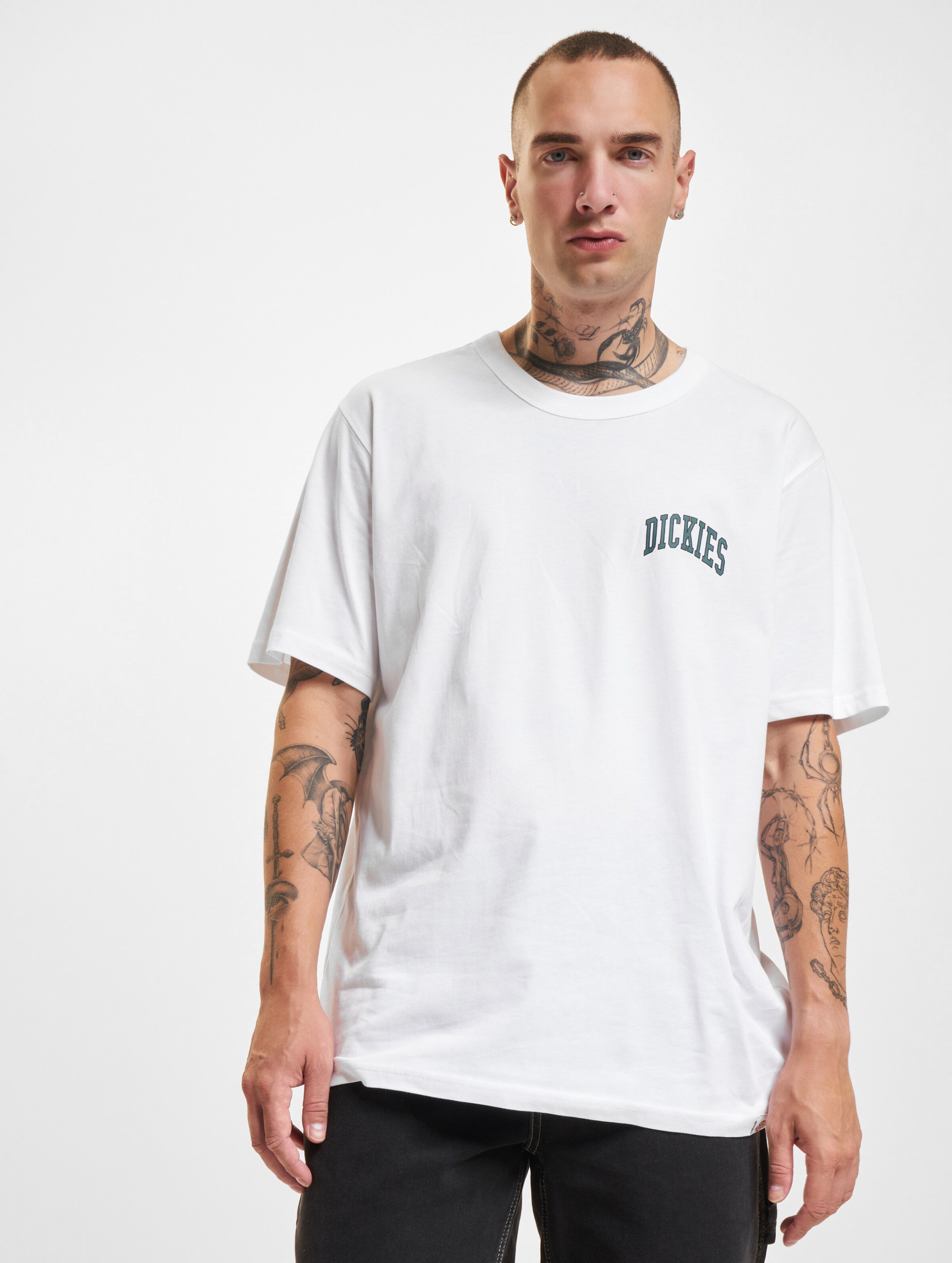 Dickies Aitkin Chest Kurzarm T-Shirt op kleur wit, Maat XXL