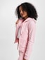 rose_63744