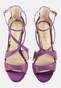 violet_143762
