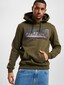 olive_17913