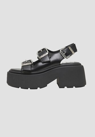 VICIOUS ATHENA BUCKLE