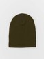 olive_52702
