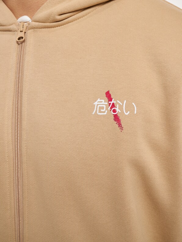 Dangerous DNGRS Decent Zip Hoodies-3