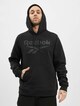 Identity Fleece OTH Big Logo-0
