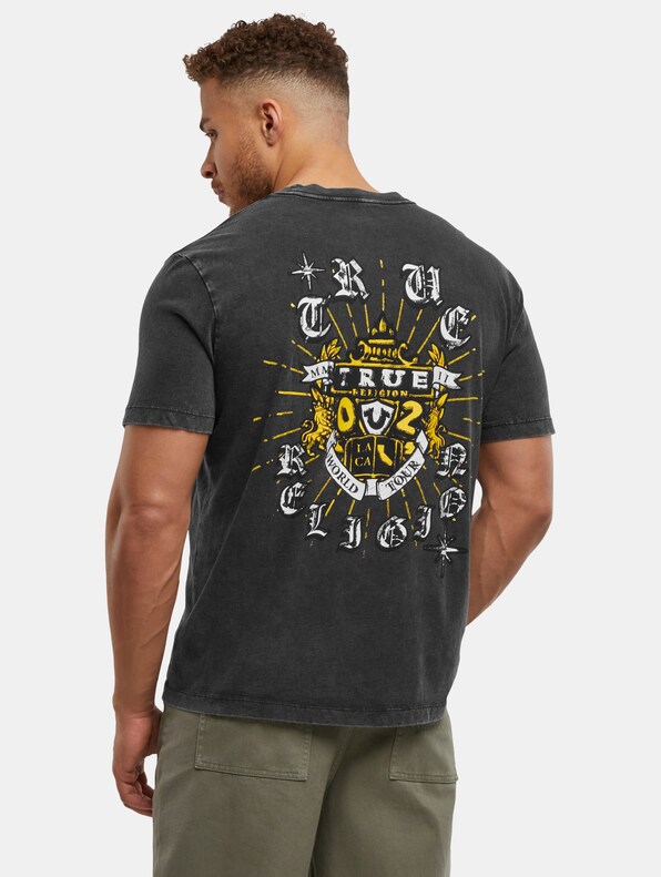 True Religion MINERAL SHINING CREST TEE-1