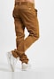 brown_30461