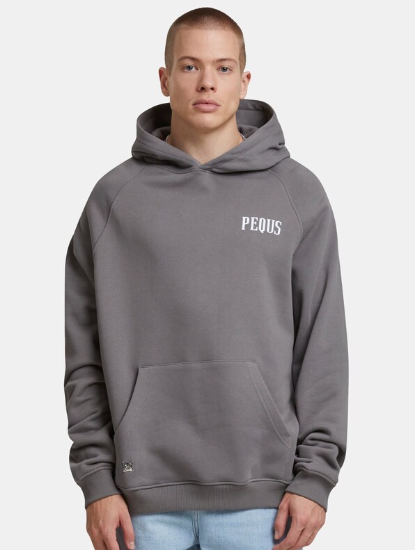 PEQUS Back Logo Hoodies-2