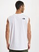 Oversize Simple Dome-1