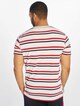 Yarn Dyed Skate Stripe-1