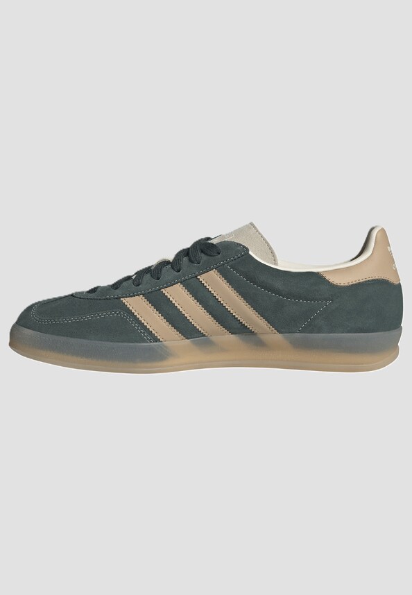  Gazelle Indoor-3