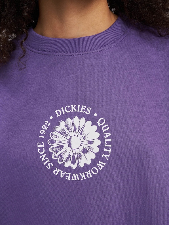 Dickies Garden Plains Sweatshirt-3