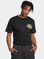 black_16582