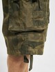 Alpha Industries Jet Shorts-5