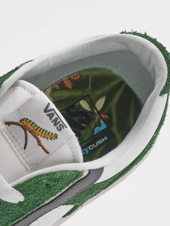 UA Lowland-11