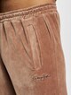 Script Logo Essential Velours-6
