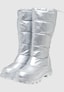 silver_151303