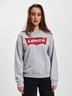 Levi's Graphic Standard Crew Pullover-2