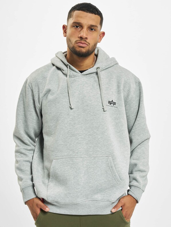 Alpha Industries Basic Small Logo Hoodies-2