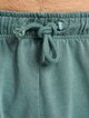 Overdyed -4