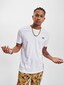 white_97244