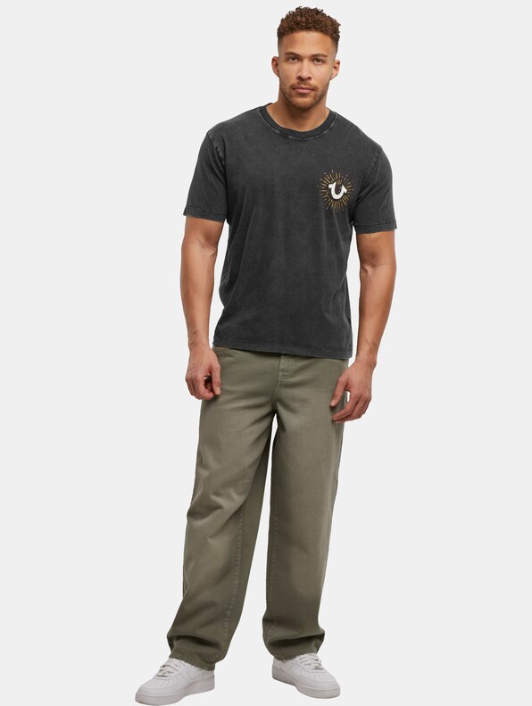 True Religion MINERAL SHINING CREST TEE-2