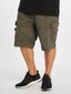 olive_38360