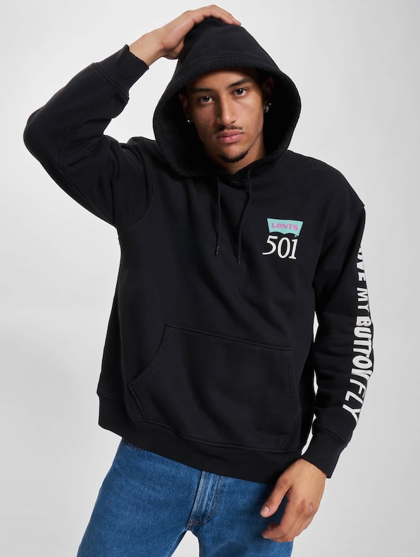 Levis Relaxed Graphic Hoodie-0