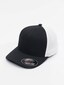 black_41479