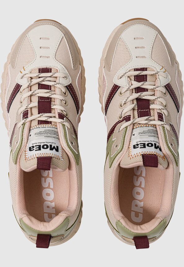 GEN7 - CORN X CACTUS - PINK ALOE-1