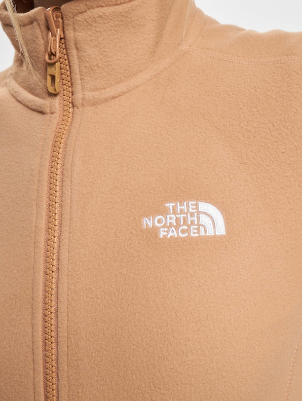 The North Face 100 Glacier Transition Jacket Almond-4