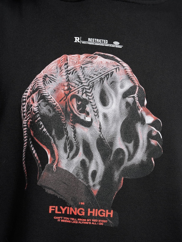 Upscale Flying High-3