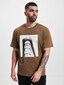 brown_72138