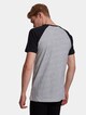 Raglan Contrast-1