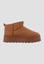 brown_187842