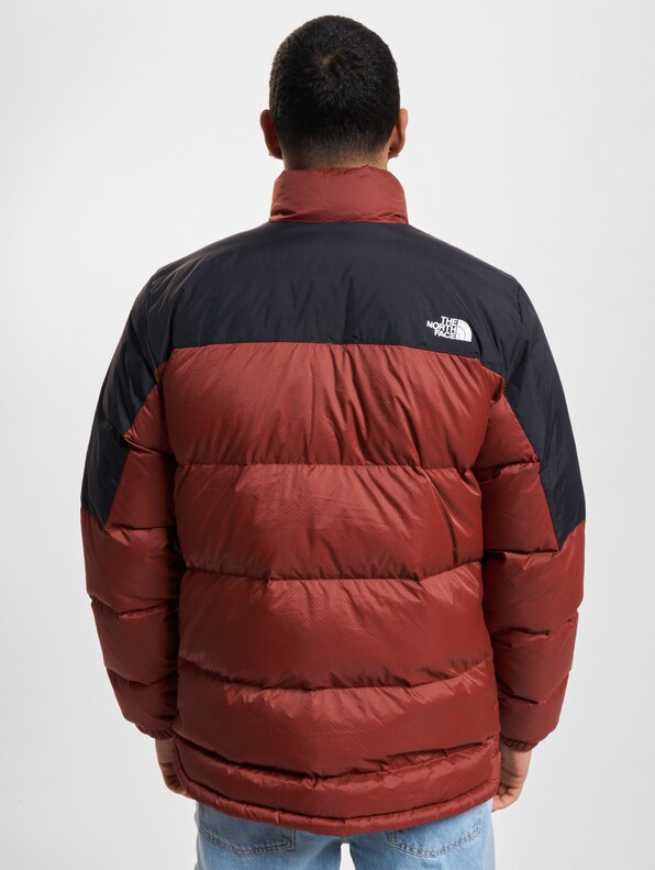 The North Face Winterjacke-1