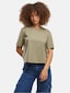 olive_148570
