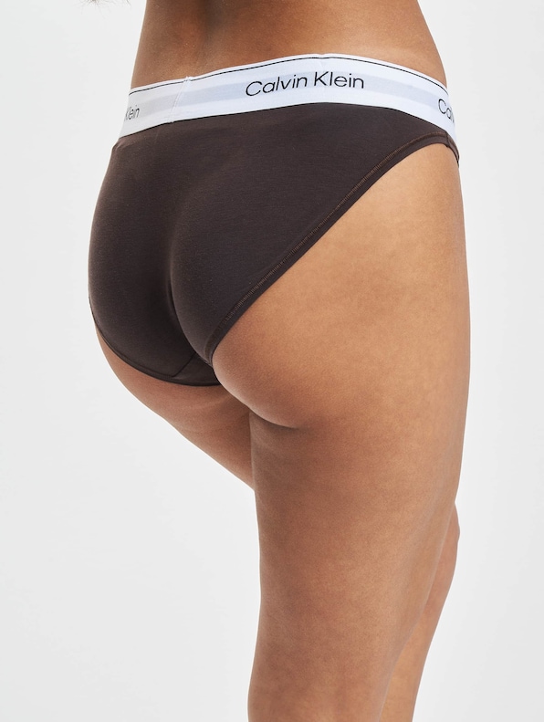 Calvin Klein Women's Bikini Style Underwear, Sage Meadow 