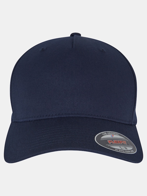 5 Panel -1