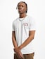 white_16619