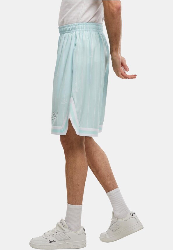 Small Varsity Logo Pinstripe-2