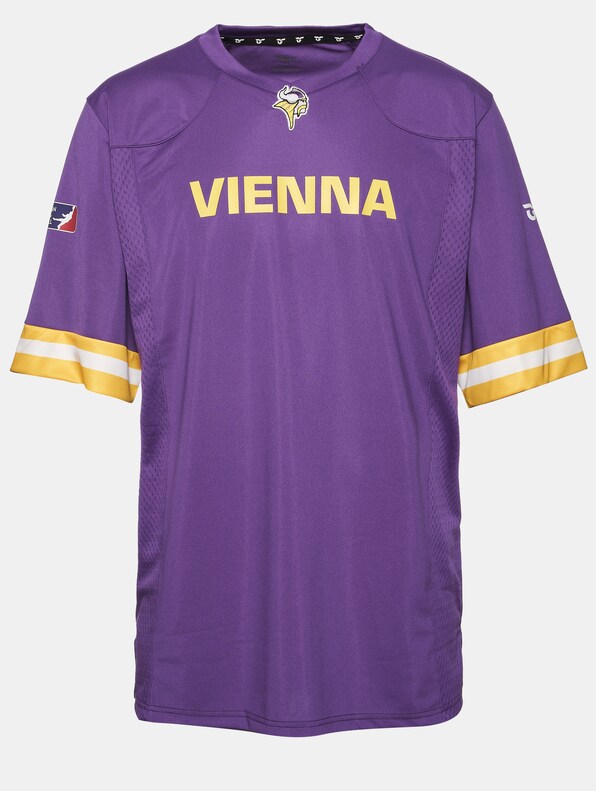 Vienna Vikings Authentic Game-11