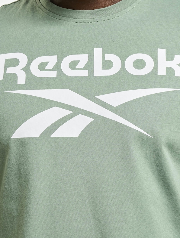 Ri Big Logo-3