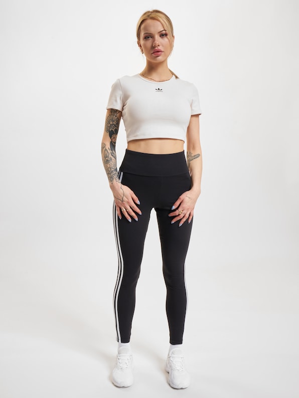 Essentials Rib-4